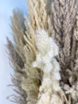 8-Stem Pampas Grass