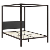 MOD-5570-BRN-GRY_2_.jpg