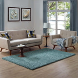 5x8 Shag Area Rug