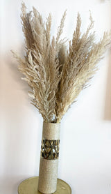 8-Stem Pampas Grass